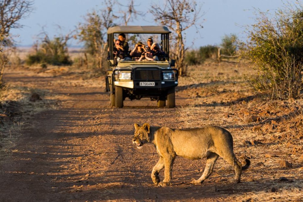 Our Favourite Lodges in Botswana | Africa Travel